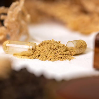 PRIME NATURAL Sea Moss 3000mg Black Seed Oil 2000mg Ashwagandha 1000mg Turmeric 1000mg Bladderwrack 1000mg Burdock 1000mg Manuka Honey Dandelion ACV - 120 Capsules | 60 Days Supply | Vegan